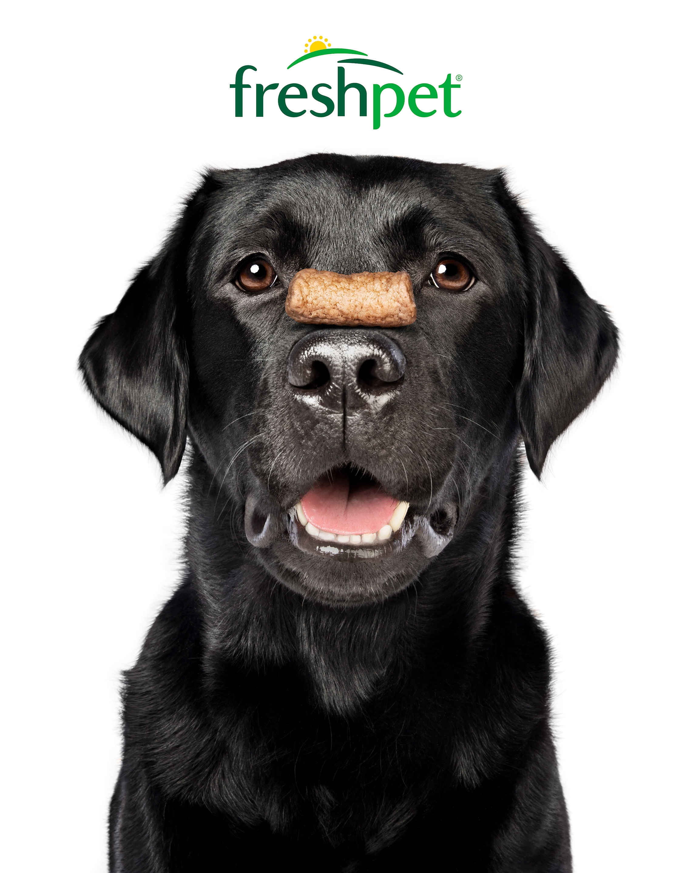 freshpet dog joy