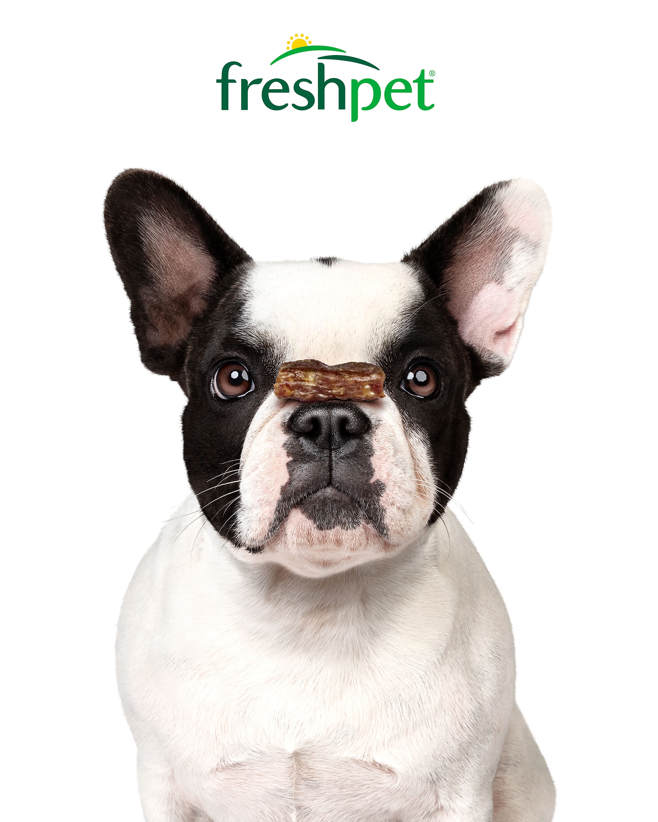 freshpet dog joy