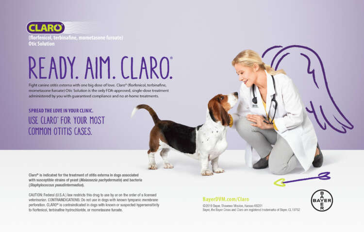 Claro_Jilianne and Liberty Face to Face Print Ad
