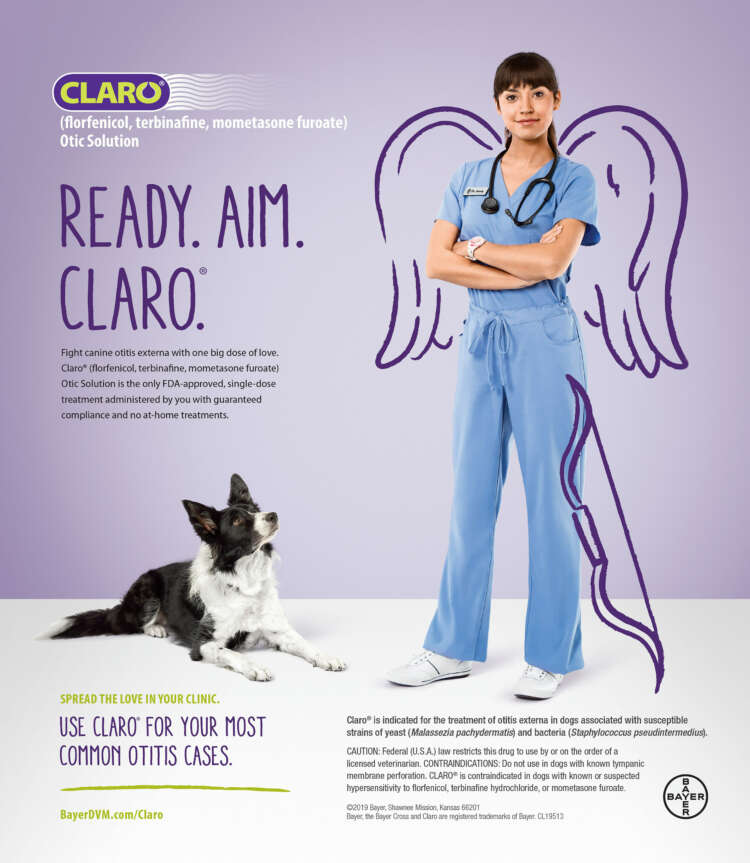 Claro_Asia and Bizi Standing Print Ad
