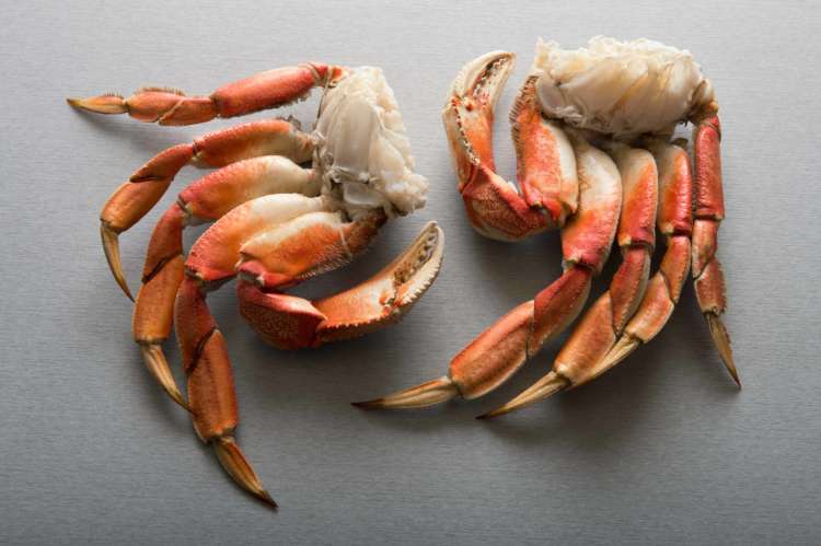 Dungeness Crab Cluster and Legs