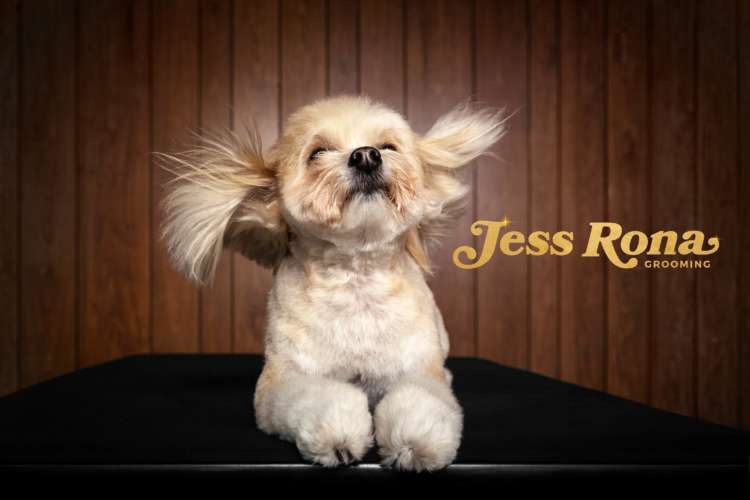Jess Rona Grooming_Rootbeer Wind